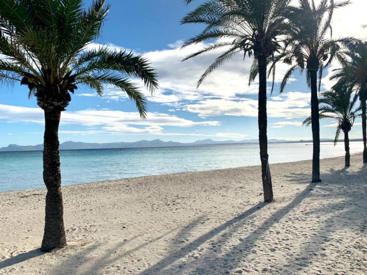El Paraiso アルクディア エクステリア 写真