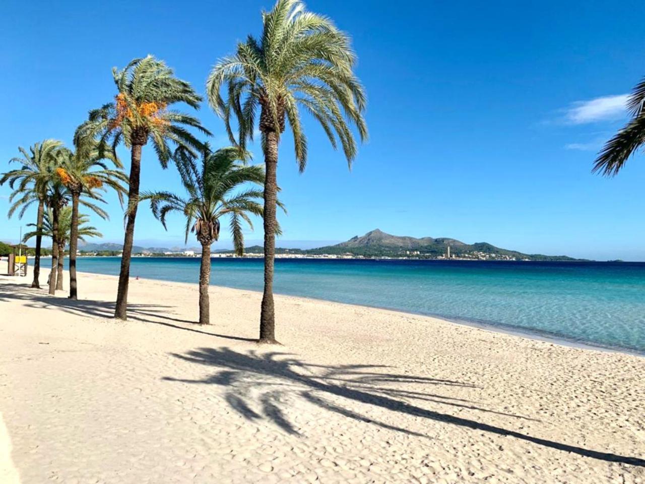 El Paraiso アルクディア エクステリア 写真